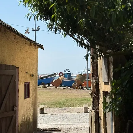 A Barraquinha 30 Steps From Sea Дом отдыха Апулия