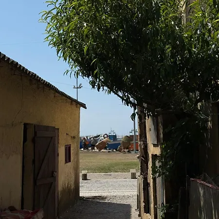 A Barraquinha 30 Steps From Sea 펜션 Apúlia